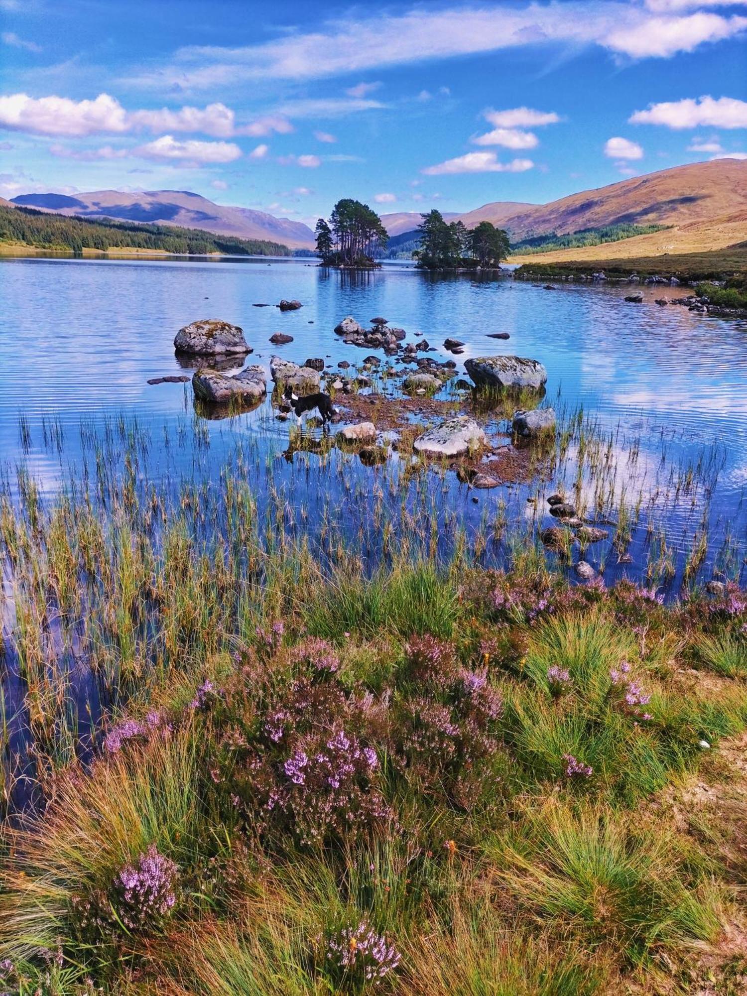 Glenfinnan Retreats Dış mekan fotoğraf